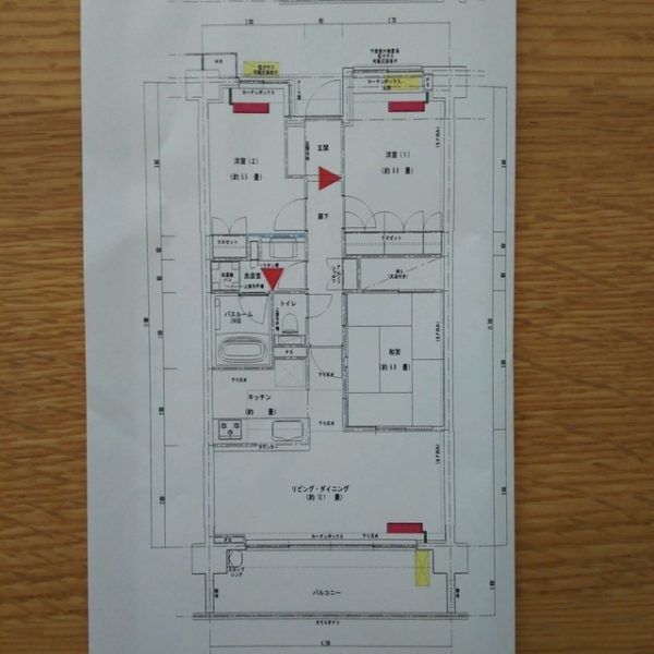 マンション 戸建て 比較