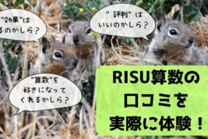 RISU算数　口コミ 　体験　評判　メリット　デメリット　
