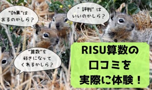 RISU算数 口コミ 体験 評判 メリット デメリット