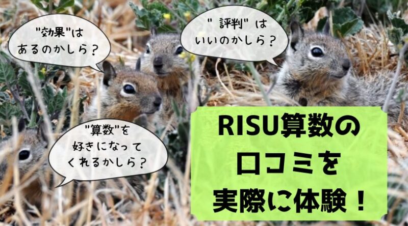 RISU算数 口コミ 体験 評判 メリット デメリット