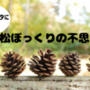 自由研究　植物　実験